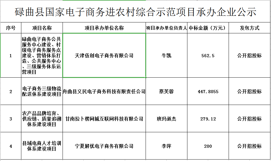 企业网站公示.png