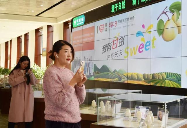 网红达人“小英子”带甘南农牧产品上“I@甘肃·2019网络扶贫博览会”